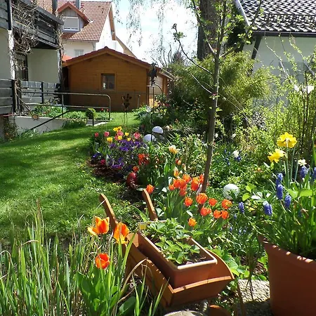Hotel Brandl Bad Wörishofen
